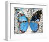 Urban Camo Butterfly-Parker Greenfied-Framed Art Print