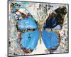 Urban Camo Butterfly-Parker Greenfied-Mounted Art Print