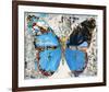 Urban Camo Butterfly-Parker Greenfied-Framed Art Print