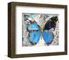 Urban Camo Butterfly-Parker Greenfied-Framed Art Print