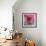 Urban cat-Anne Storno-Framed Giclee Print displayed on a wall