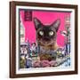 Urban cat-Anne Storno-Framed Giclee Print