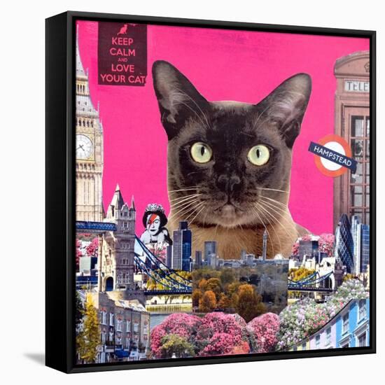 Urban cat-Anne Storno-Framed Stretched Canvas