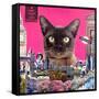 Urban cat-Anne Storno-Framed Stretched Canvas