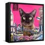 Urban cat-Anne Storno-Framed Stretched Canvas