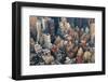 Urban City Architecture Background. New York City Manhattan Skyline Aerial View with Street and Sky-Songquan Deng-Framed Photographic Print