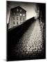 Urban Cobbled Street with Building-Craig Roberts-Mounted Photographic Print