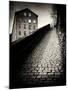 Urban Cobbled Street with Building-Craig Roberts-Mounted Photographic Print