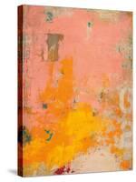 Urban Collage 62-Deanna Fainelli-Stretched Canvas