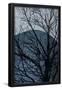 Essential Black
