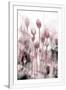 Gramercy White