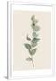 Gramercy White
