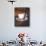 Urban Espresso-Paul Kenton-Mounted Giclee Print displayed on a wall