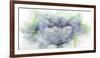 Urban Floral II-Paul Duncan-Framed Giclee Print