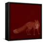 Urban Fox - Red-Dominique Vari-Framed Stretched Canvas