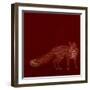 Urban Fox - Red-Dominique Vari-Framed Art Print