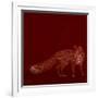 Urban Fox - Red-Dominique Vari-Framed Art Print