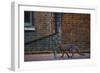 Urban Fox (Vulpes Vulpes) in London-Laurent Geslin-Framed Photographic Print