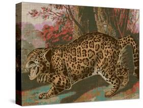 Urban Jungle Cat II-Jarman Fagalde-Stretched Canvas
