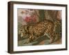 Urban Jungle Cat II-Jarman Fagalde-Framed Art Print