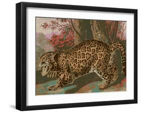 Urban Jungle Cat II-Jarman Fagalde-Framed Art Print