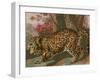 Urban Jungle Cat II-Jarman Fagalde-Framed Art Print