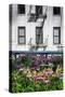 Urban Meadow Of Manhattan, New York City-George Oze-Stretched Canvas