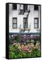 Urban Meadow Of Manhattan, New York City-George Oze-Framed Stretched Canvas