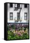 Urban Meadow Of Manhattan, New York City-George Oze-Framed Stretched Canvas