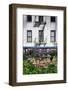 Urban Meadow Of Manhattan, New York City-George Oze-Framed Photographic Print