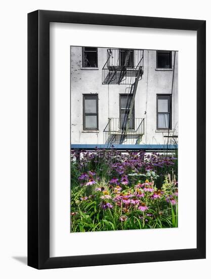 Urban Meadow Of Manhattan, New York City-George Oze-Framed Photographic Print