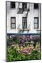 Urban Meadow Of Manhattan, New York City-George Oze-Mounted Photographic Print