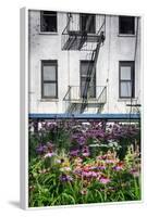 Urban Meadow Of Manhattan, New York City-George Oze-Framed Photographic Print