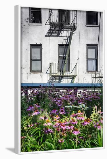 Urban Meadow Of Manhattan, New York City-George Oze-Framed Photographic Print