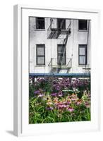 Urban Meadow Of Manhattan, New York City-George Oze-Framed Photographic Print