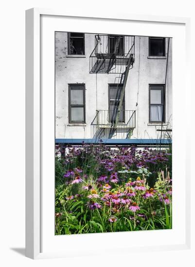 Urban Meadow Of Manhattan, New York City-George Oze-Framed Photographic Print