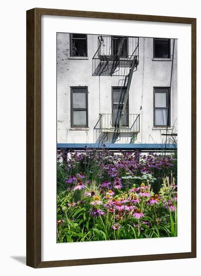 Urban Meadow Of Manhattan, New York City-George Oze-Framed Photographic Print