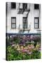 Urban Meadow Of Manhattan, New York City-George Oze-Stretched Canvas