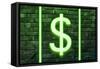 Urban Neon Collection - Dollars-Philippe Hugonnard-Framed Stretched Canvas