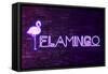 Urban Neon Collection - Flamingo-Philippe Hugonnard-Framed Stretched Canvas