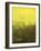 Urban Nocturne-Paul Cornoyer-Framed Giclee Print