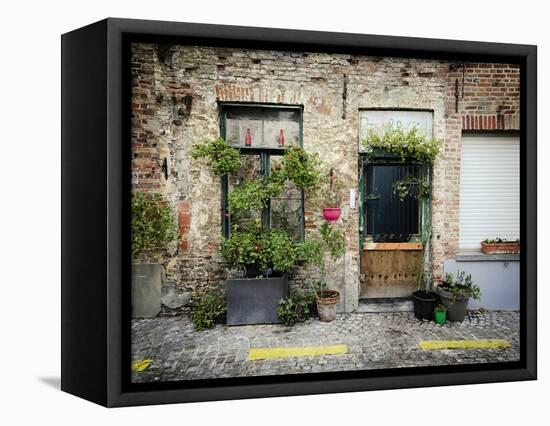 Urban Oasis-Valda Bailey-Framed Stretched Canvas