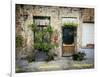 Urban Oasis-Valda Bailey-Framed Photographic Print