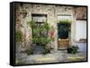 Urban Oasis-Valda Bailey-Framed Stretched Canvas