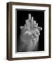 Urban Offering-Thomas Barbey-Framed Giclee Print