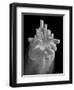 Urban Offering-Thomas Barbey-Framed Giclee Print