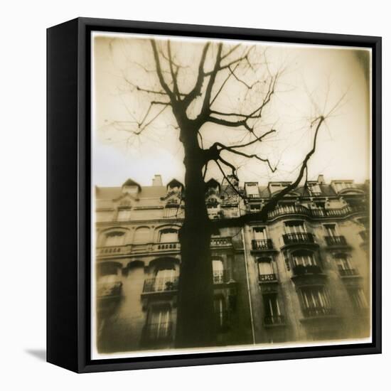 Urban Paris Landscape with Tree-Kevin Cruff-Framed Stretched Canvas