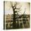 Urban Paris Landscape with Tree-Kevin Cruff-Stretched Canvas