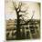 Urban Paris Landscape with Tree-Kevin Cruff-Mounted Photographic Print