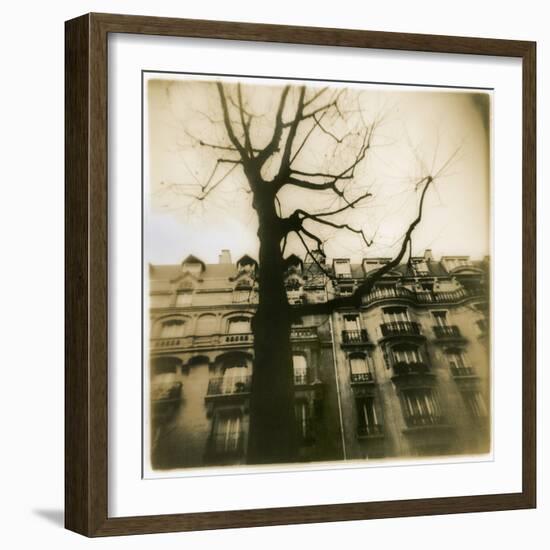 Urban Paris Landscape with Tree-Kevin Cruff-Framed Photographic Print